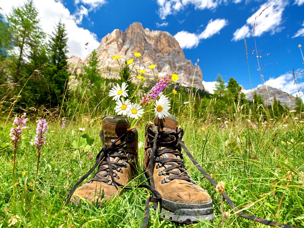 Mountain spring in the Karwendel
